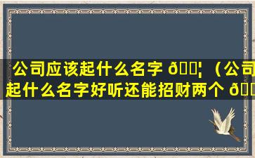 公司应该起什么名字 🐦 （公司起什么名字好听还能招财两个 🌹 字）